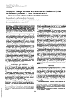 Isopeptide Linkage Between N-A-Monomethylalanine and Lysine