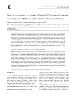 Stem and Root Anatomy of Two Species of Echinopsis (Trichocereeae: Cactaceae)