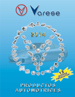 VARESE 2014.Pdf