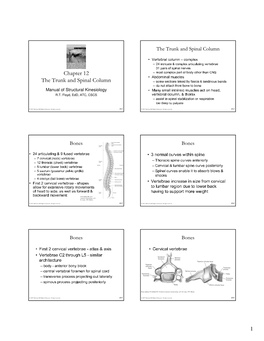 Chapter 12 the Trunk and Spinal Column