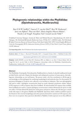 Phylogenetic Relationships Within the Phyllidiidae (Opisthobranchia, Nudibranchia)