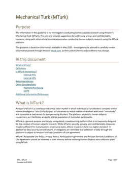 Mechanical Turk (Mturk)