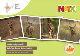Meadows and Grasslands Kanha Tiger Reserve, Madhya Pradesh