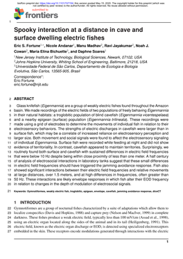 Spooky Interaction at a Distance in Cave and Surface Dwelling Electric ﬁshes Eric S