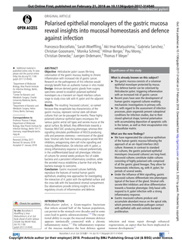 Polarised Epithelial Monolayers of the Gastric Mucosa Reveal Insights