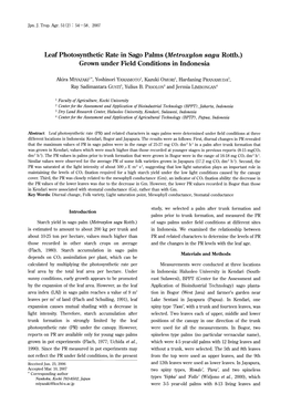 Leaf Photosynthetic Rate in Sago Palms (Metroxylon Sagu Rottb.) Grown Under Field Conditions in Indonesia