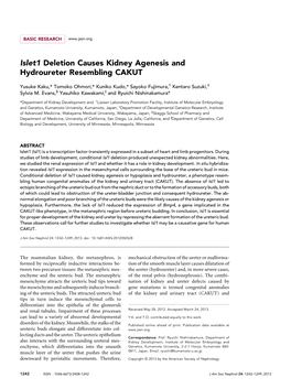 Islet1 Deletion Causes Kidney Agenesis and Hydroureter Resembling CAKUT