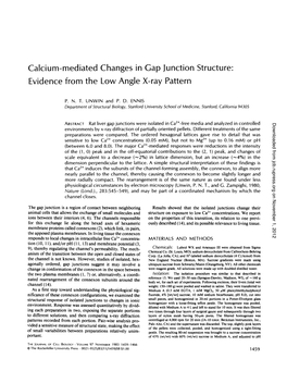 Calcium-Mediated Evidence from the Changes in Gap Junction Low Angle X-Ray Pattern Structure