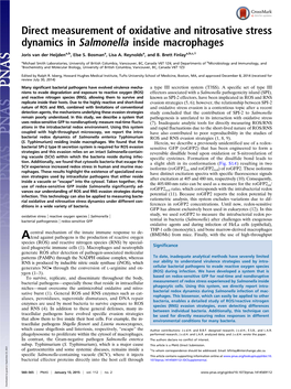 Direct Measurement of Oxidative and Nitrosative Stress Dynamics in Salmonella Inside Macrophages