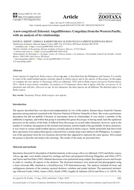 A New Congrid Eel (Teleostei: Anguilliformes: Congridae) from the Western Pacific, with an Analysis of Its Relationships