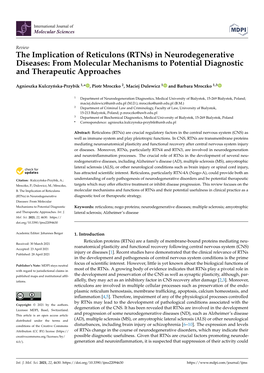 The Implication of Reticulons (Rtns) in Neurodegenerative Diseases: from Molecular Mechanisms to Potential Diagnostic and Therapeutic Approaches