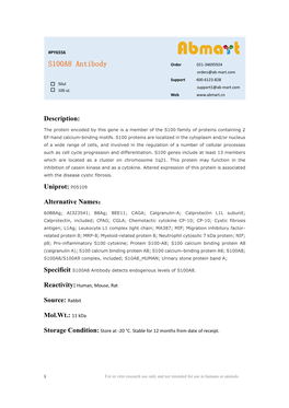 S100A8 Antibody Order 021-34695924