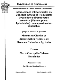 Eretmocerus Eremicus (Hymenoptera: Aphelinidae): Una Aproximación Conductual