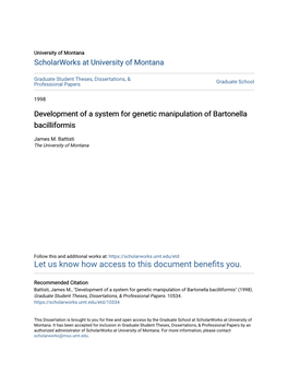 Development of a System for Genetic Manipulation of Bartonella Bacilliformis