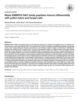 Maize EMBRYO SAC Family Peptides Interact Differentially with Pollen Tubes and Fungal Cells