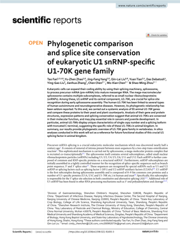 Phylogenetic Comparison and Splice Site Conservation of Eukaryotic U1