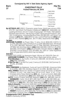 CHESTNUT FILLY Barn 37 Hip No