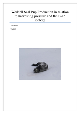 Weddell Seal Pup Production in Relation to Harvesting Pressure and the B-15 Iceberg