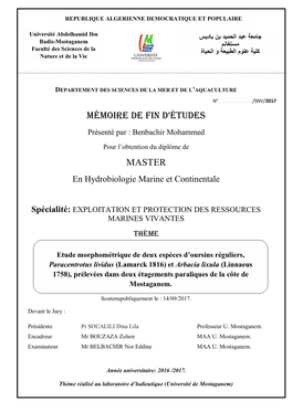 Mémoire De Fin D'études Master