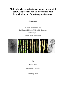 Molecular Characterization of a Novel Segmented Dsrna Mycovirus and Its Association with Hypovirulence of Fusarium Graminearum