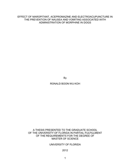 University of Florida Thesis Or Dissertation Formatting