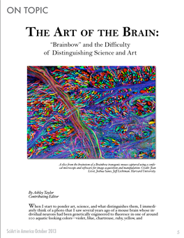 The Art of the Brain