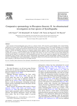 Comparative Spermatology in Plecoptera (Insecta)