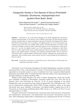 Cytogenetic Studies in Two Species of Genus Pimelodella (Teleostei, Siluriformes, Heptapteridae) from Iguatemi River Basin, Brazil
