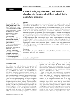 Bacterial Traits, Organism Mass, and Numerical Abundance in the Detrital Soil Food Web of Dutch Agricultural Grasslands