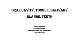 Oral Cavity, Tongue, Salivary Glands, Teeth