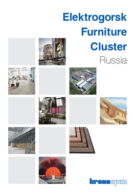 Elektrogorsk Furniture Cluster Russia Production Sites with Furniture Clusters