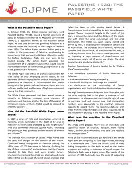 The Passfield White Paper