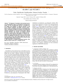 Crosslinking of CD44 on Human Osteoblastic Cells Upregulates ICAM