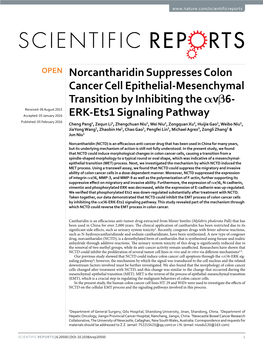 Norcantharidin Suppresses Colon Cancer Cell Epithelial