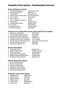 Combative Flow System - Fundamentals Level-One