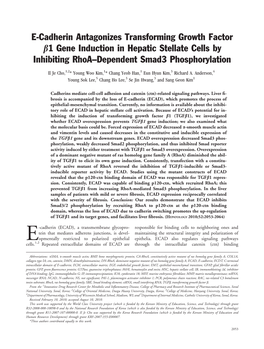 E-Cadherin Antagonizes Transforming Growth Factor B1 Gene Induction in Hepatic Stellate Cells by Inhibiting Rhoa–Dependent Smad3 Phosphorylation