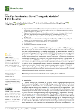 Islet Dysfunction in a Novel Transgenic Model of T Cell Insulitis