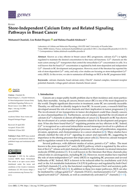 Store-Independent Calcium Entry and Related Signaling Pathways in Breast Cancer