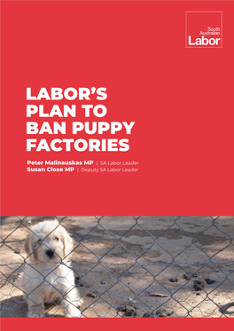 Labor's Plan to Ban Puppy Factories