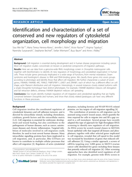 Identification and Characterization of a Set of Conserved and New Regulators of Cytoskeletal Organization, Cell Morphology and Migration