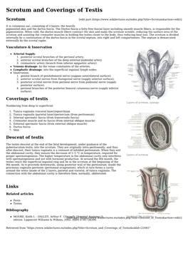 Scrotum and Coverings of Testis