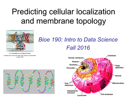 Predicting Cellular Localization and Membrane Topology