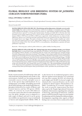 Floral Biology and Breeding System of Jatropha Curcas in North-Western India