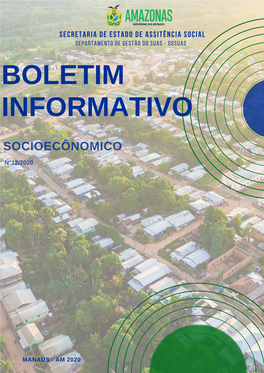 Boletim Informativo Pauini