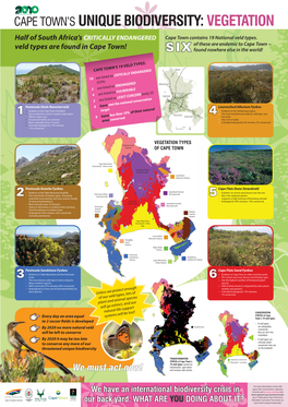 Cape Town's Unique Biodiversity:Vegetation