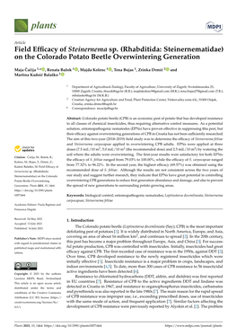 (Rhabditida: Steinernematidae) on the Colorado Potato Beetle Overwintering Generation