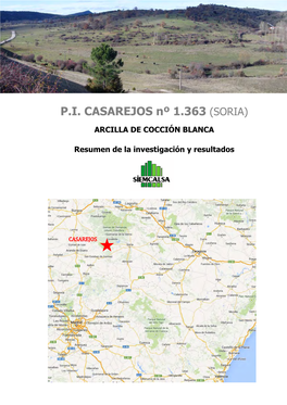 PI CASAREJOS Nº 1.363 (SORIA)