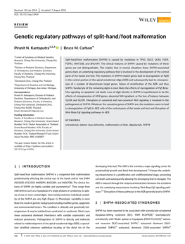 Genetic Regulatory Pathways of Split Hand-Foot Malformation