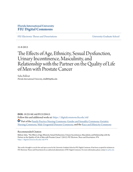 The Effects of Age, Ethnicity, Sexual Dysfunction, Urinary Incontinence, Masculinity, and Relationship with the Partner on the Q