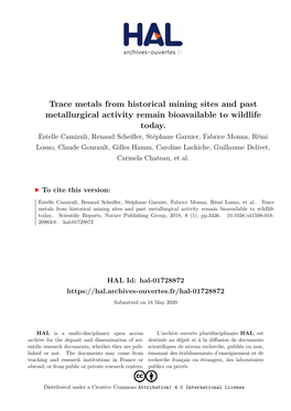 Trace Metals from Historical Mining Sites and Past Metallurgical Activity Remain Bioavailable to Wildlife Today